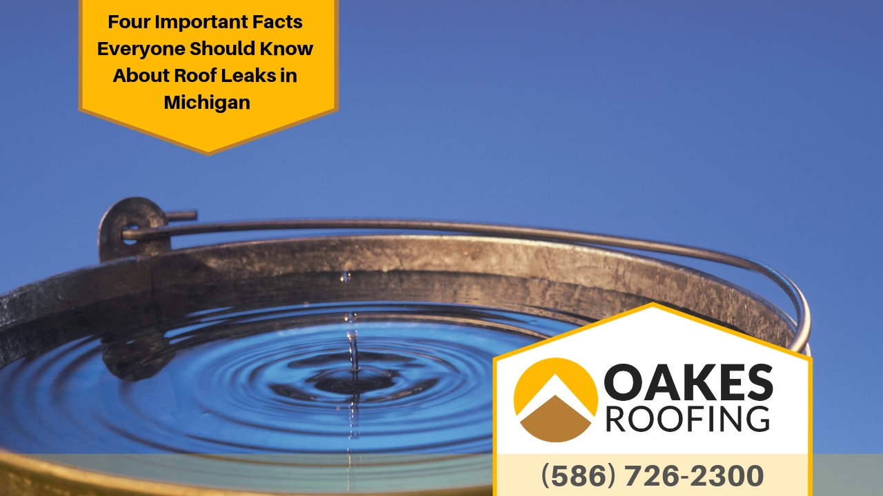 Four Important Facts Everyone Should Know About Roof Leaks in Michigan