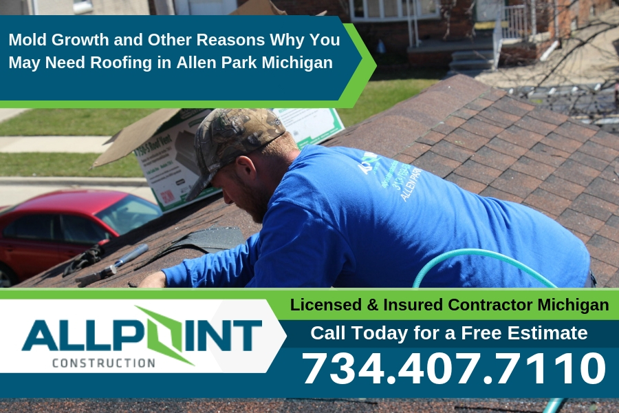 Mold Growth and Other Reasons Why You May Need Roofing in Allen Park Michigan