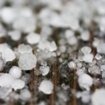 Has Your Roof in Downriver Michigan been Damaged By Hail?