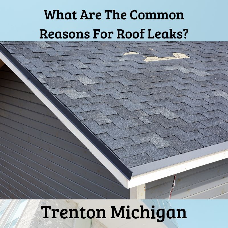 What Are The Common Reasons For Roof Leaks in Trenton Michigan?