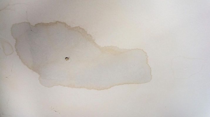 Common Reasons Why You May Have a Roof Leak in Southgate Michigan