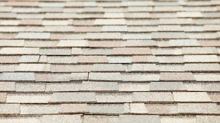 Asphalt Shingles in Wyandotte Michigan: How To Prolong Your Roof’s Lifespan