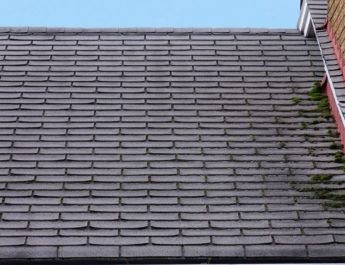 Signs It’s Time to Repair or Replace Your Asphalt Shingle Roof in Ann Arbor Michigan