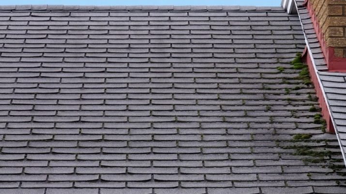 Signs It’s Time to Repair or Replace Your Asphalt Shingle Roof in Ann Arbor Michigan