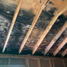 The Top Reasons to Not Delay Roof Repairs in Canton Michigan