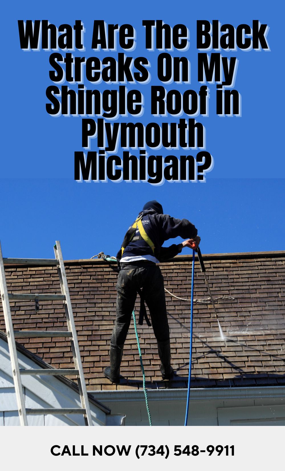 Removing Algae from Roof in Plymouth MI