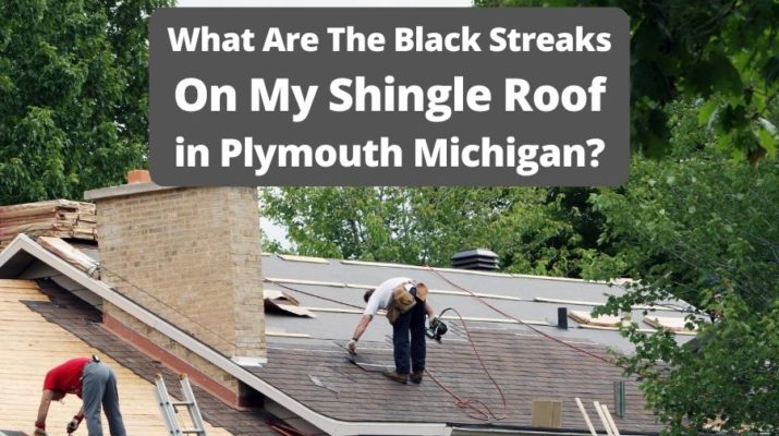 What Are The Black Streaks On My Shingle Roof in Plymouth Michigan?