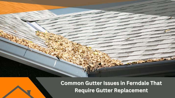 Common Gutter Issues in Ferndale That Require Gutter Replacement